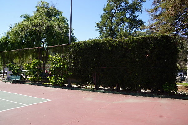 Brookside.Tennis.1.09