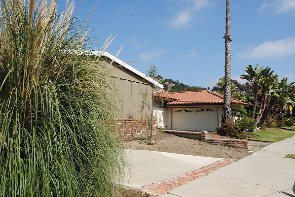 DSC 0514