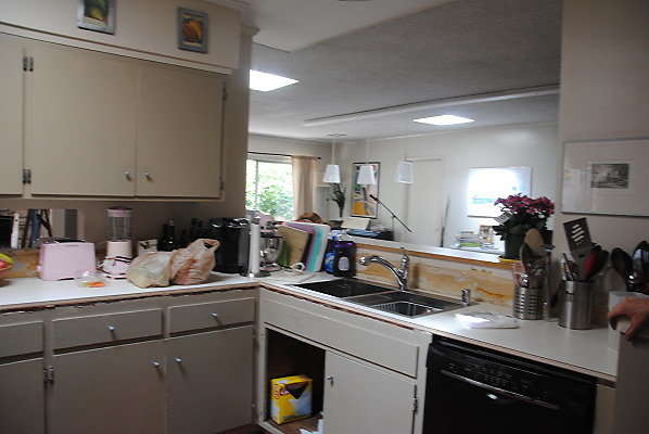 DSC 0537