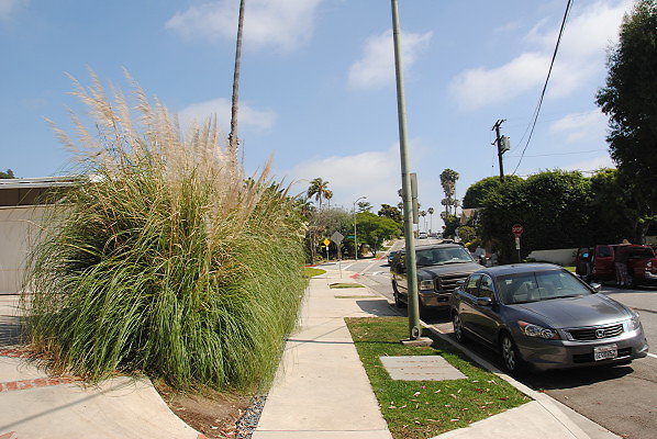 DSC 0519