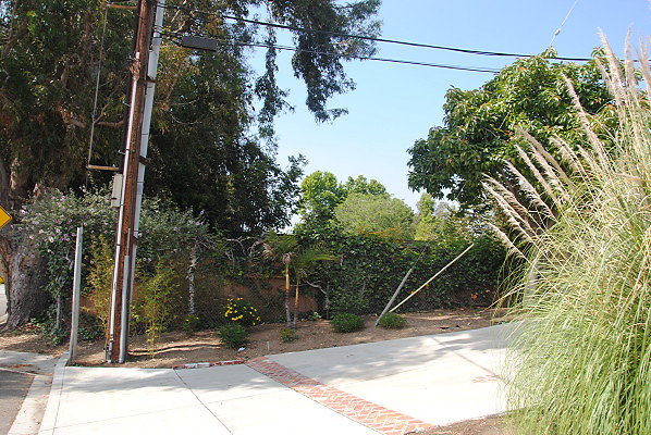 DSC 0512