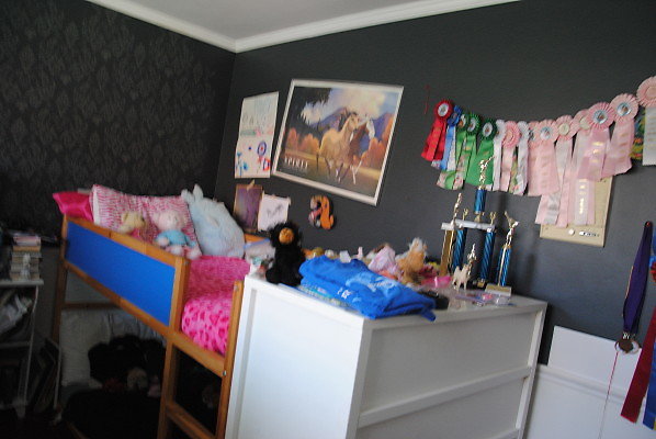 DSC 0551