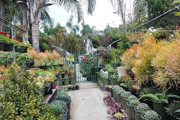 DSC 0125