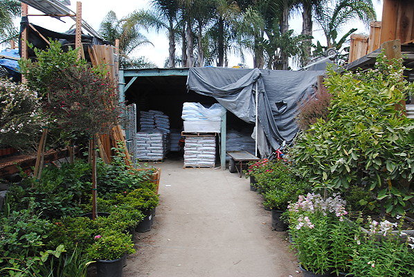 DSC 0029