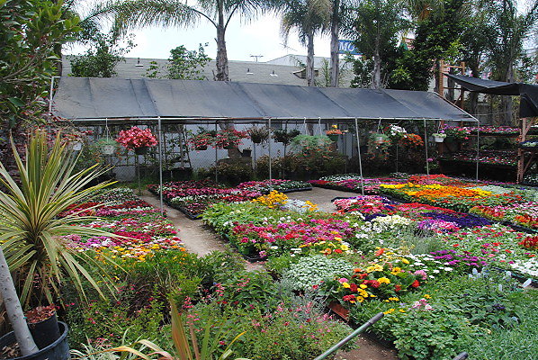 DSC 0053