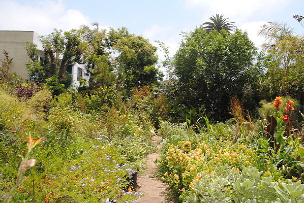 DSC 0048