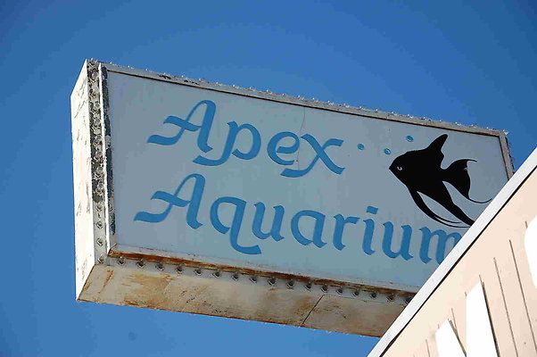Apex Aquariums.Culver City