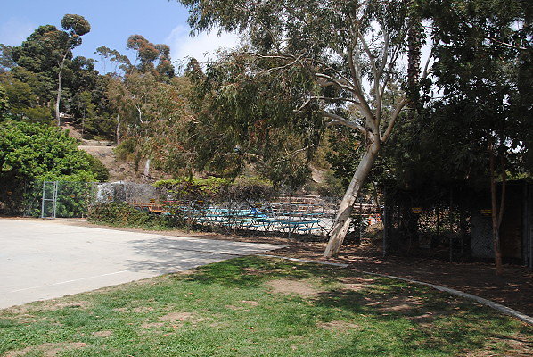 DSC 0335