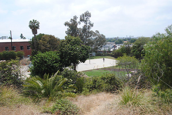 DSC 0319