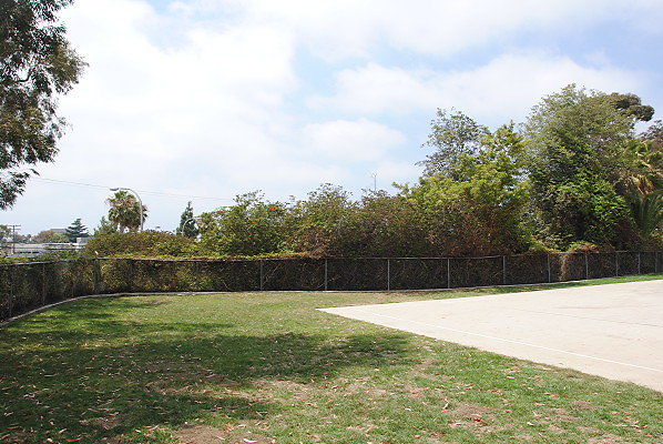 DSC 0333
