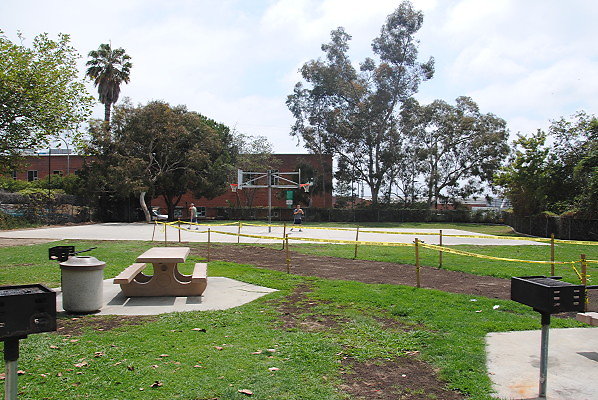 DSC 0321