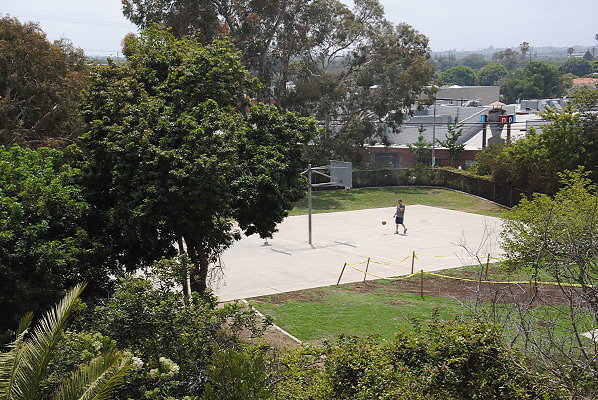 DSC 0318