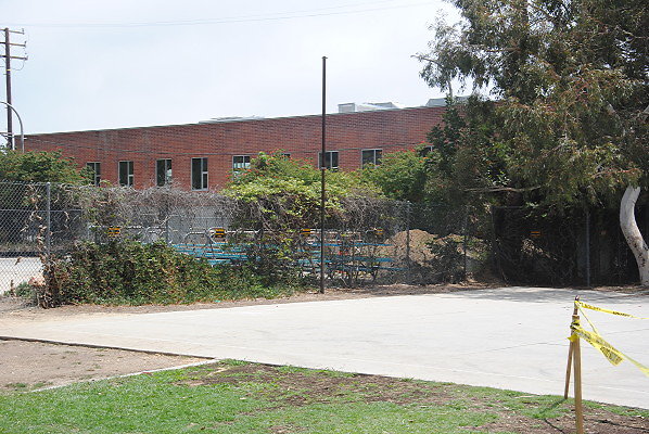 DSC 0323