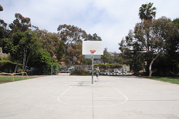 DSC 0341