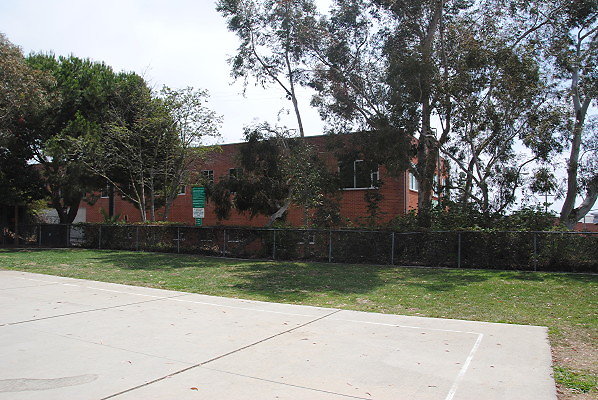 DSC 0342
