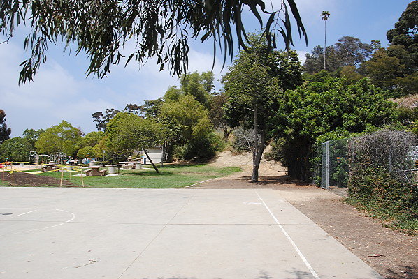 DSC 0332