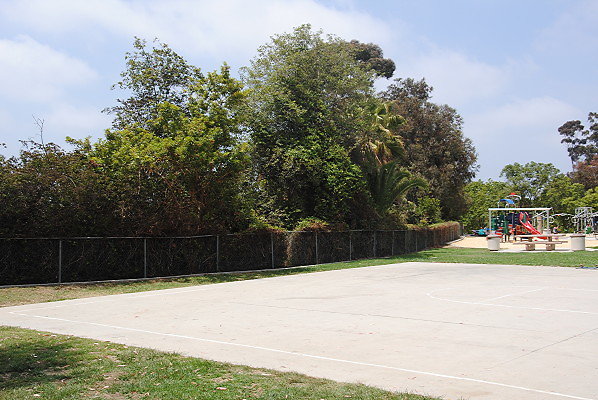 DSC 0336