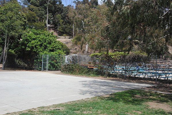DSC 0338