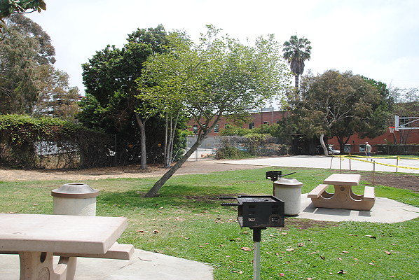 DSC 0320