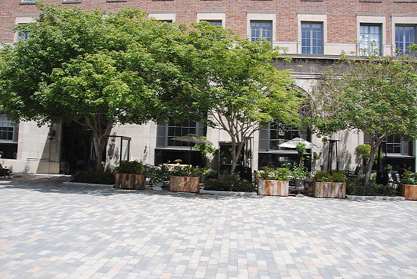 DSC 0050
