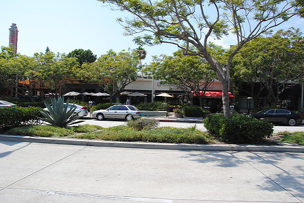 DSC 0118