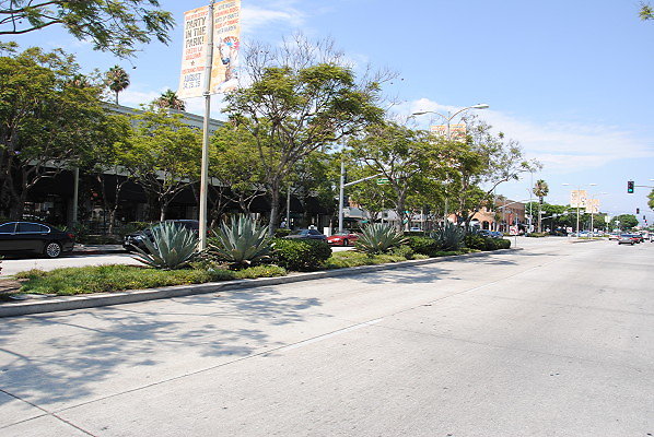 DSC 0119