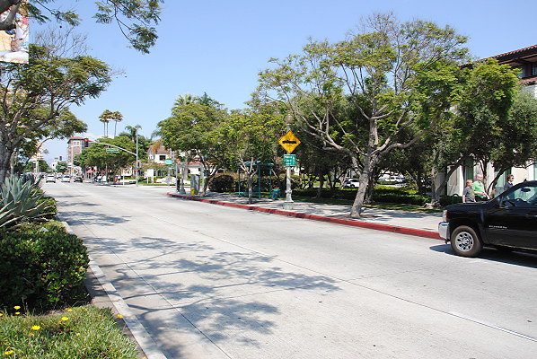 DSC 0133