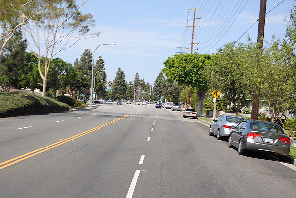 DSC 0197