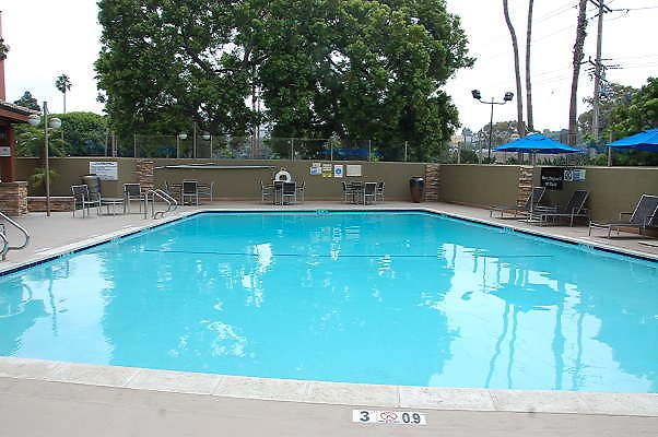 DSC 0083