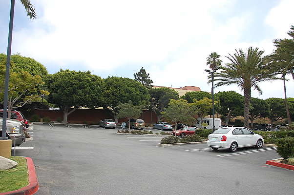 DSC 0001