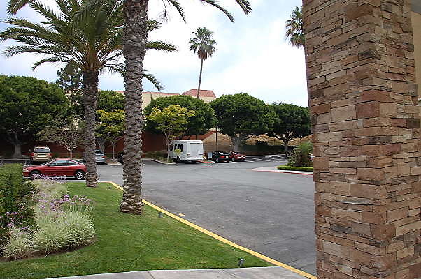 DSC 0007