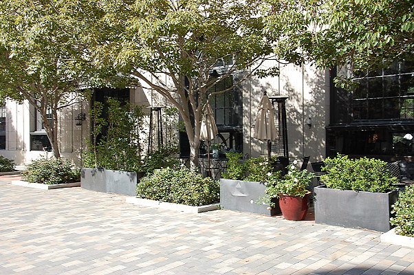 DSC 0201