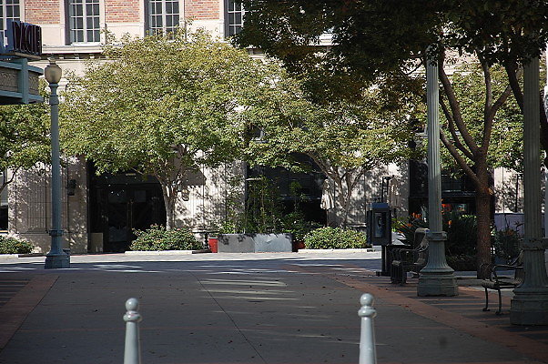 DSC 0245