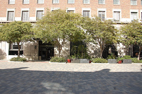 DSC 0196