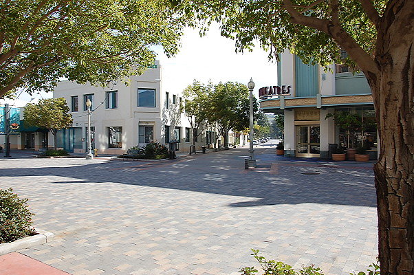 DSC 0241