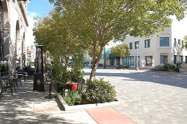 DSC 0240