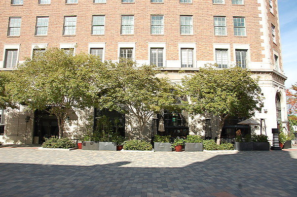 DSC 0232