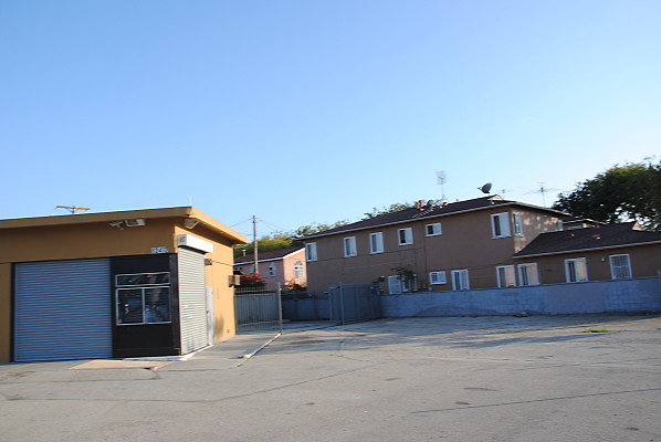 DSC 0304