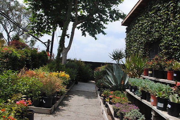 DSC 0283