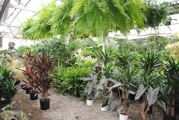 DSC 0304