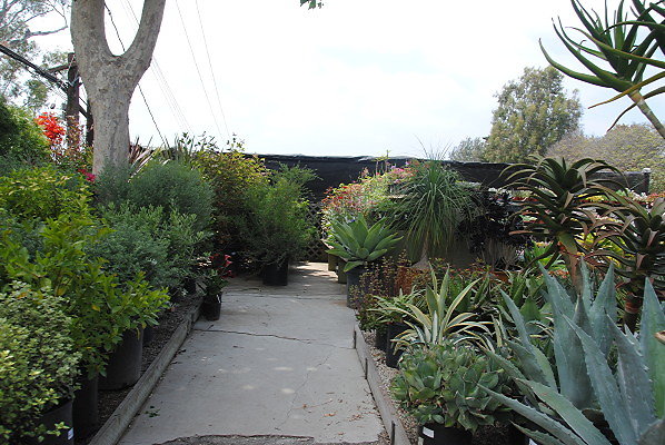 DSC 0286