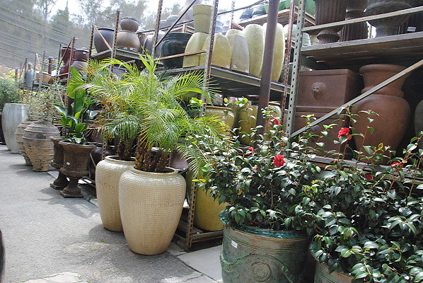 DSC 0279