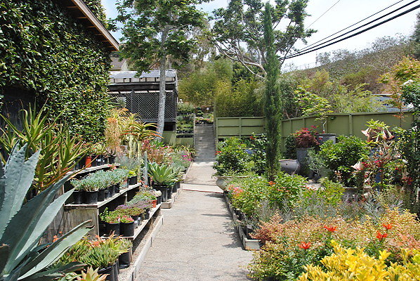 DSC 0294