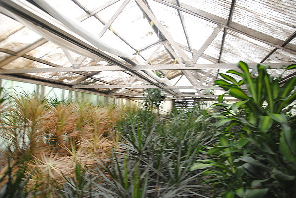 DSC 0309