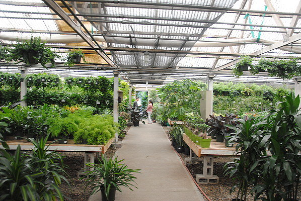 DSC 0310