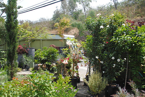 DSC 0295