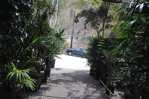 DSC 0315