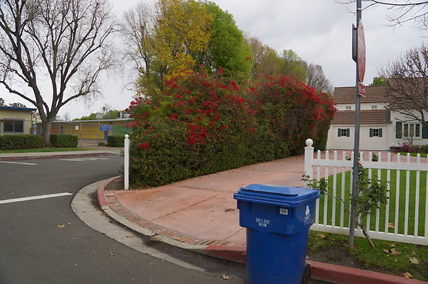 Ventura.Cyn.Hesby.X.Walk.12
