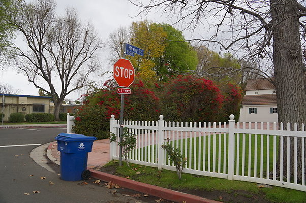 Ventura.Cyn.Hesby.X.Walk.06