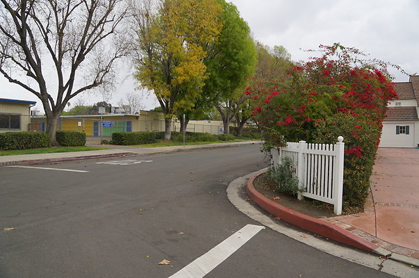 Ventura.Cyn.Hesby.X.Walk.15